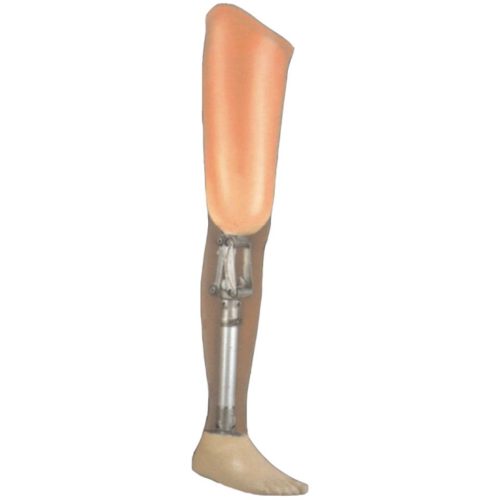 Knee Disarticulation